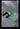 image28