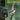 64MP 4K Solar Trail Cam See More Capture All, designed for wildlife enthusiasts, capturing stunning outdoor moments.