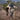 Hikers using Ultra-Compact Carbon Hiking Poles with Adjustable Height and Shock Absorption for stability and comfort.