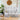 Indoor Rabbit  Guinea Pig Run  Small Animal Enclosure with white rabbit, hay, food bowl, and indoor plants