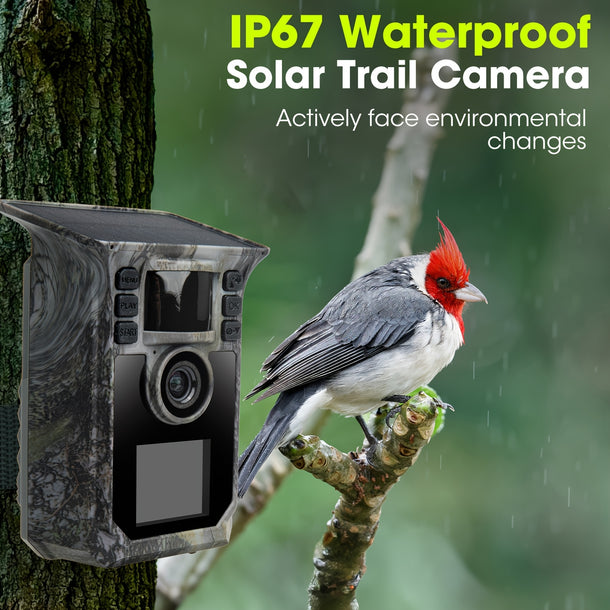 64MP 4K Solar Trail Cam See More Capture All